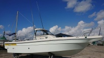 EX25