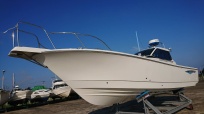 EX31