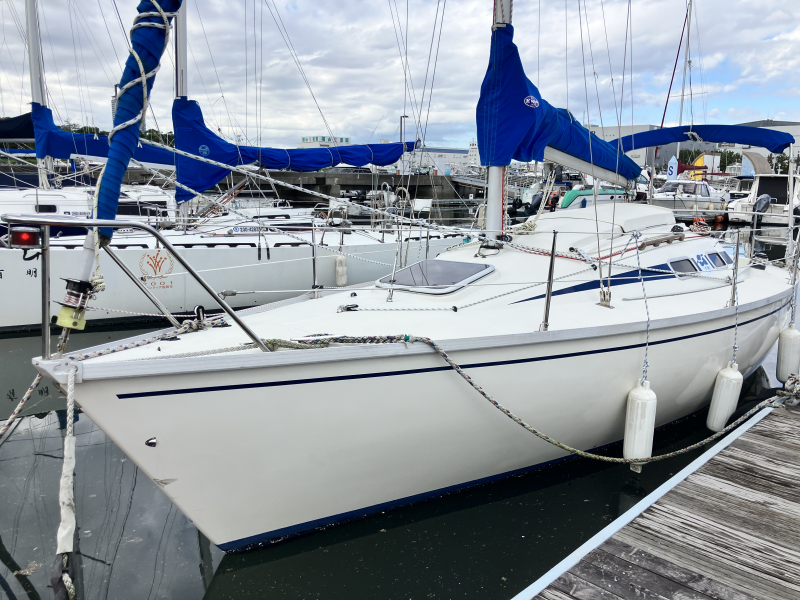 ニュージャパンヨット リベッチオ