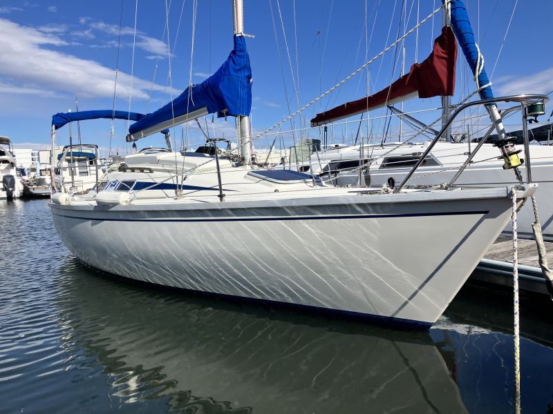 ニュージャパンヨット リベッチオ 