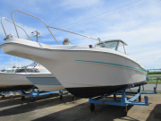 JOYFISHER-750