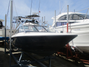 AG-21