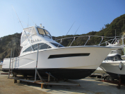 EXULT38C