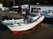 DE29