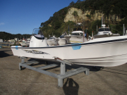 BayFisher25