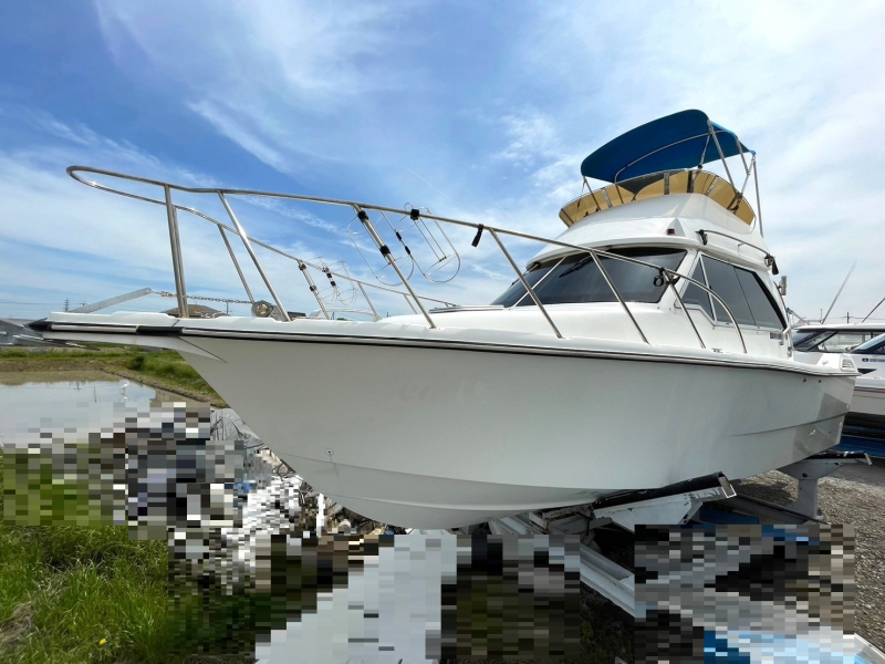 船　プレジャーボート
スポーツ マリンスポーツ プレジャーボート 船外機