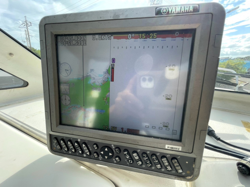 slide image