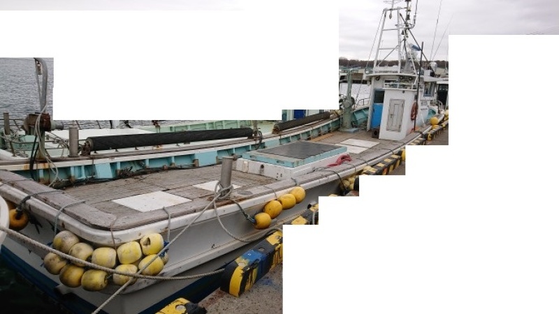 中古】 沖縄舟状海盆及び周辺海域の魚類 1 大陸棚斜面未利用資源