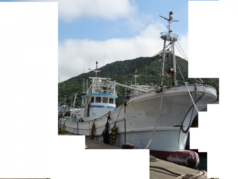 その他メーカー(国内) 漁船 NO,030709　漁船　活魚運搬船　南海造船（19t）68尺　2級