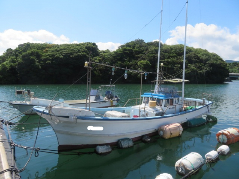 ヤンマー DE30 NO、070628　漁船　遊漁船　ヤンマーDE30　3級