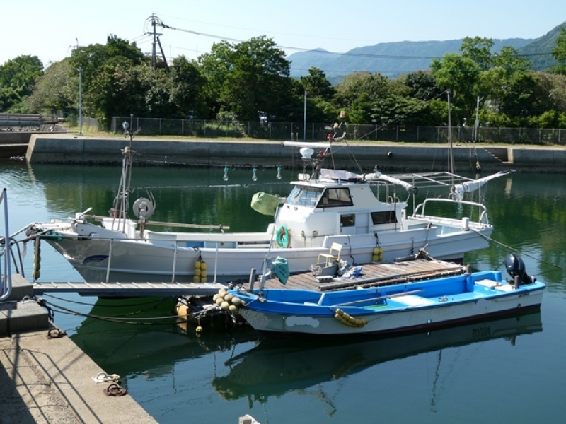 ヤマハ DX-50 NO,070801 刺し網船 釣船 ヤマハDX-50（4.8t