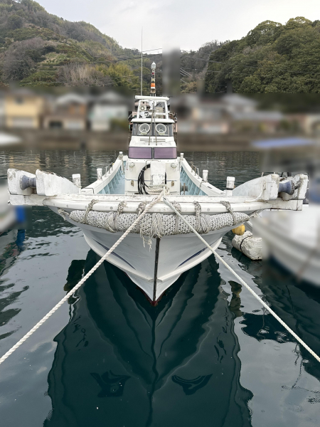 り*ん様 Balsa-50 original 023 新品・未開封 ヤマハ DY-50B 中古艇・新艇情報 アキラマリンサービス | 中古艇