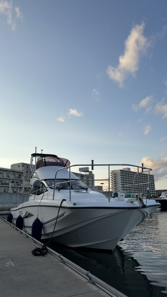 ヤマハ DFR-36FB 商談中