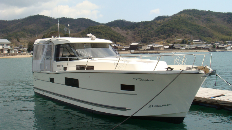 DELPHIA ESCAPE 1080S 