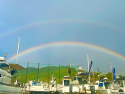 株式会社マリーナ広島