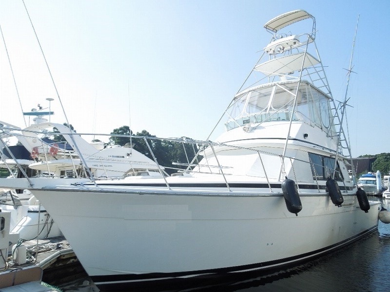 バートラム 42 ツナタワー付き