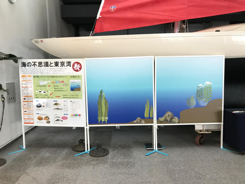 海の不思議と東京湾 秋