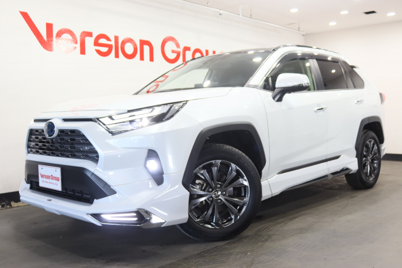 トヨタ RAV4 ハイブリッド　G　新車保証継承付　モデリスタエアロ　パノラマルーフ　本革シート　デジタルインナーミラー　全周囲カメラ　BSM　HDMI　アクセサリーソケット　メモリーナビ　フルセグ　ETC　前後ドラレコ　18AW