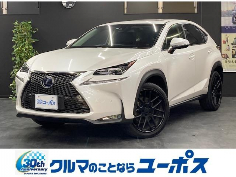 レクサス NX NX300h　Iパッケージ　OP5年保証対象車両　純正SDナビ（CD／DVD／Bluetooth／フルセグ）　バックモニター　ドライブレコーダー　クルーズコントロール　メモリーパワーシート　LRシートヒーター　BSM　ETC