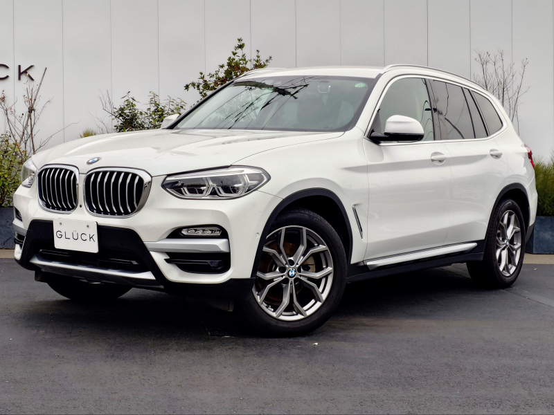 BMW X3 xドライブ20d xライン 4WD　ハイラインPkg シートクーラー LEDライト アンビエントライト モカレザー シートヒーター ACC レーンキープアシスト 360°カメラ 電動リアゲート ブラインドスポット 19インチAW ライブコックピット HUD