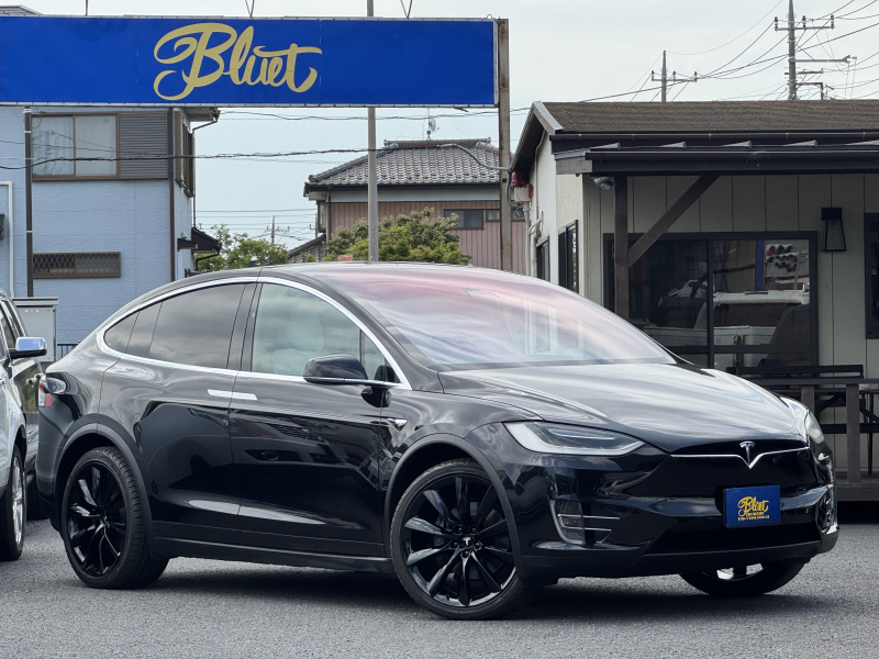 モデルX