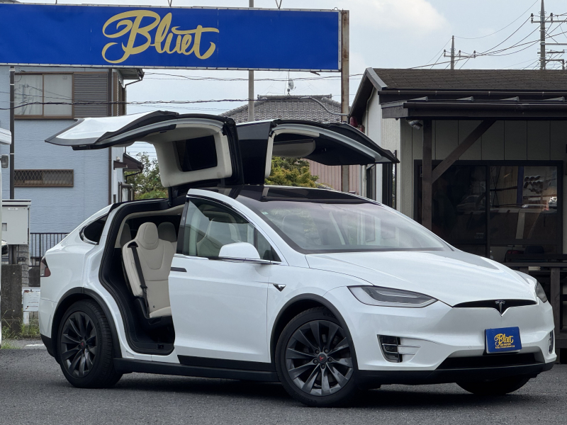 テスラ モデルX 100D フルセルフスオートパイロット
