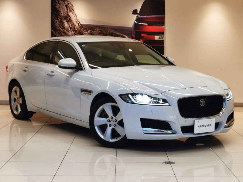 XF